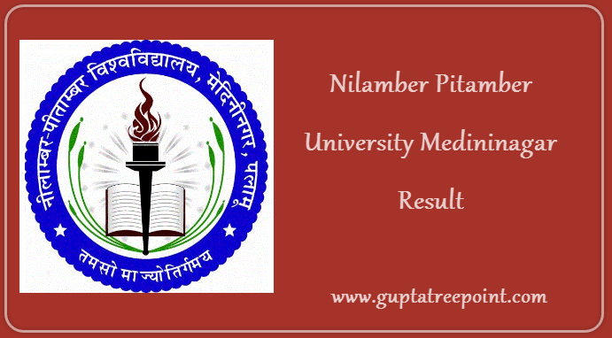 Nilamber Pitamber University Medininagar