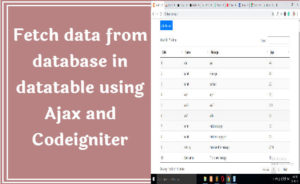 Fetch data from database in datatable using AJAX Codeigniter 3 (Hindi)